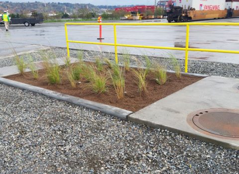 POT Modular Wetlands