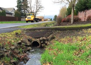 Stormwater Suburban Runoff