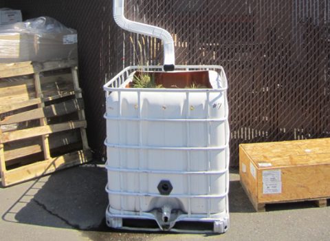 Roof Drain Treatment