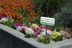 Recycled Water Sign