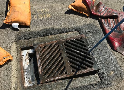 Sewer Grate