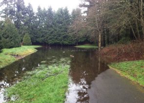 Flooded Trail