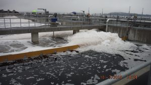 Chambers Creek Wastewater Treatment