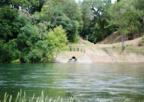 American River Pipeline