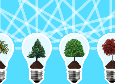 Header used in intern blog posting