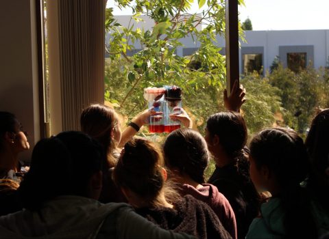 observing filtered water