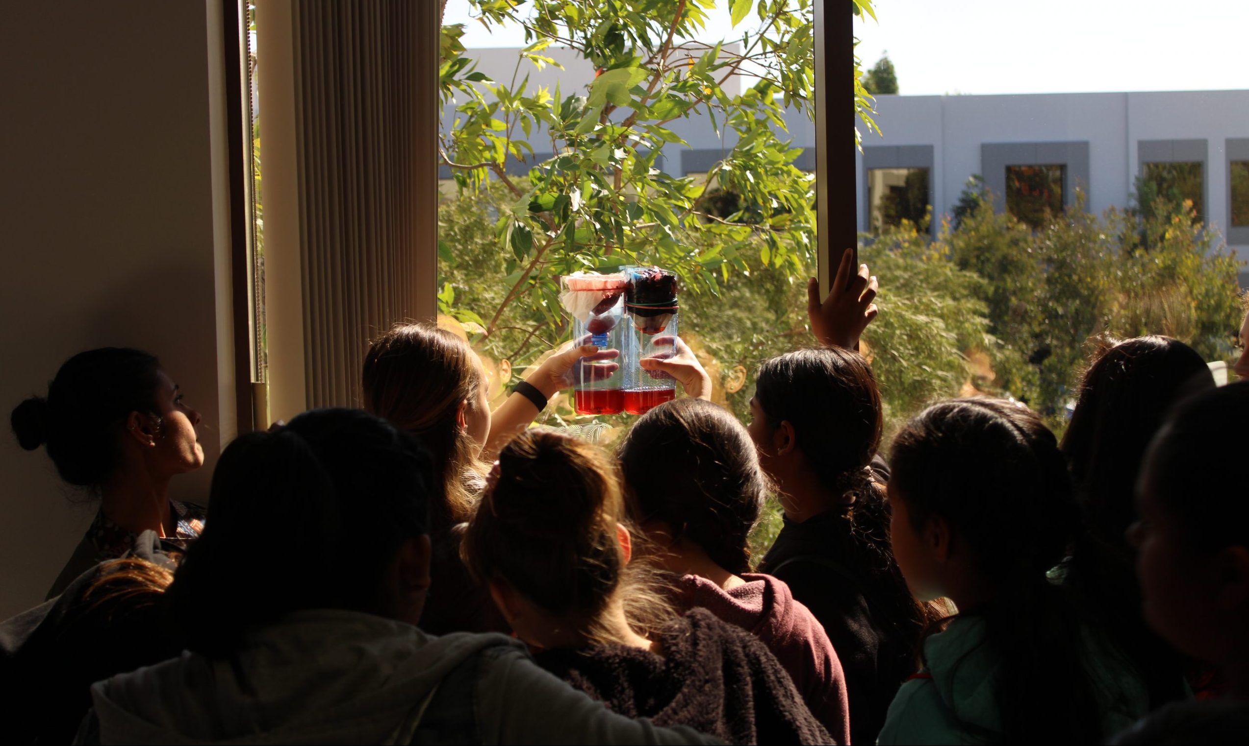 observing filtered water