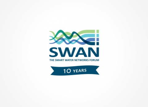 SWAN Logo