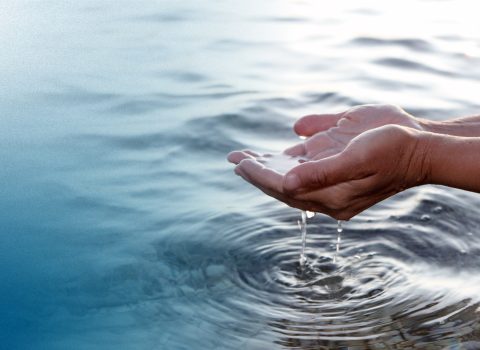 Hands cupping water over a natural body of water